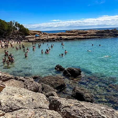 Aruba Daurada Calafat