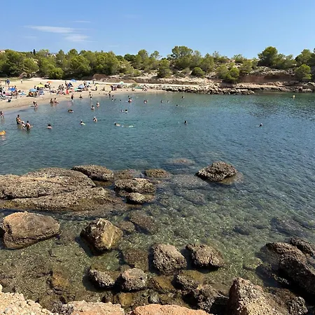 Aruba Daurada