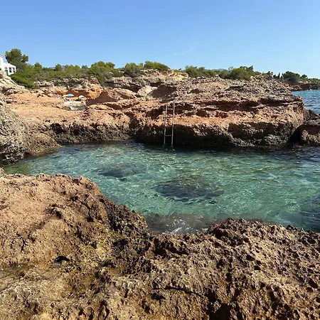 Aruba Daurada * Calafat