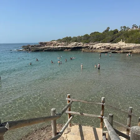 Aruba Daurada Calafat