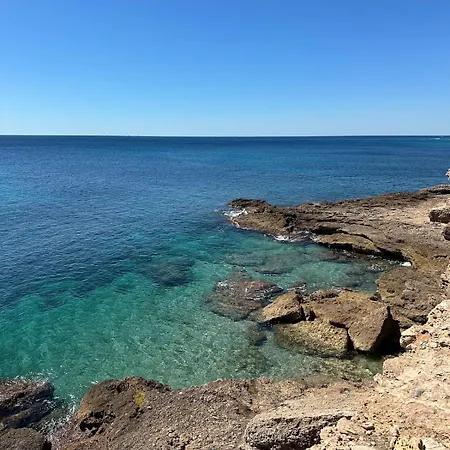 Aruba Daurada